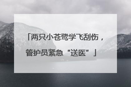 两只小苍鹭学飞刮伤，管护员紧急“送医”